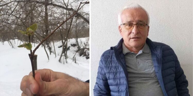 829 Bin Tonluk Rekolte Tahmini Gerçekçi Değil