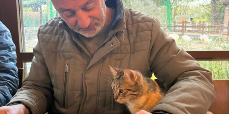 BİR SOSYAL MEDYA İSYANI