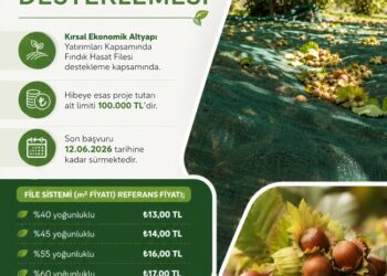 FINDIK ÜRETİCİSİNE MÜJDE: HASAT FİLESİNE HİBE DESTEĞİ BAŞLADI!