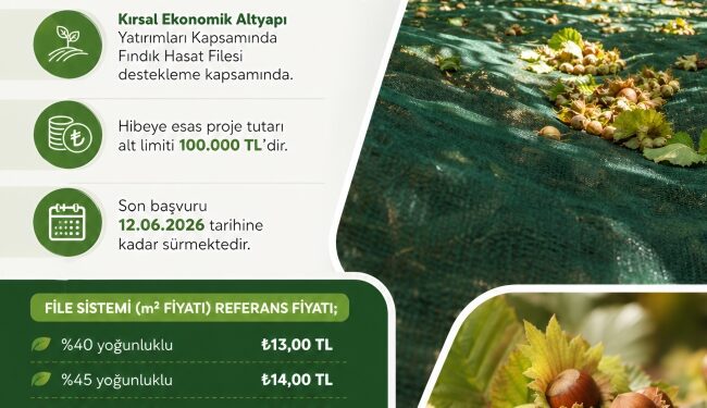 FINDIK ÜRETİCİSİNE MÜJDE: HASAT FİLESİNE HİBE DESTEĞİ BAŞLADI!