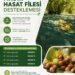 FINDIK ÜRETİCİSİNE MÜJDE: HASAT FİLESİNE HİBE DESTEĞİ BAŞLADI!