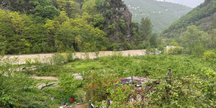 Doğankent Haber: Harşit Çayı’nda Ani Taşkın: Mahsur Kalan Eski Muhtar AFAD Ekiplerince Kurtarıldı