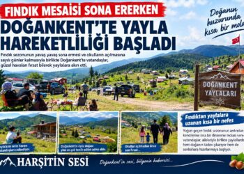Doğankent Haberleri-FINDIK MESAİSİ SONA ERERKEN DOĞANKENT’TE YAYLA HAREKETLİLİĞİ BAŞLADI
