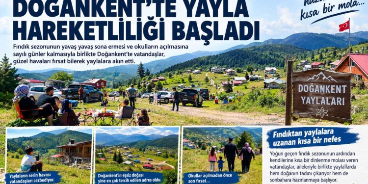 Doğankent Haberleri-FINDIK MESAİSİ SONA ERERKEN DOĞANKENT’TE YAYLA HAREKETLİLİĞİ BAŞLADI